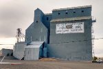 Grain plant